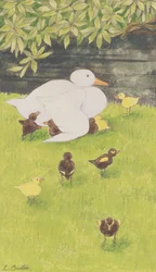 Mère Canard avec Canetons
